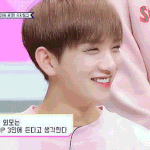 [세븐틴] 진짜 어떻게 보면 신기한게