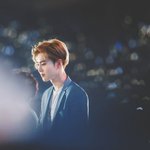 [EXO] 심심하니 눈<b>감사</b> ㄱㄱ