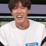 [방탄소년단] 호비만 보면