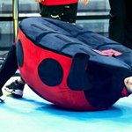 [EXO] 무당벌레 탈 쓴 놈이나..