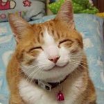 [인피니트] <b>명수</b>는 고양이