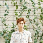 [EXO] 눈<b>감사</b>