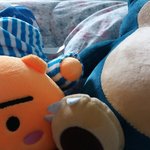 서디페가서 졸귀들 데려왔닷