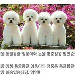 [조언부탁해] 자신있는 애들 너무 부러움