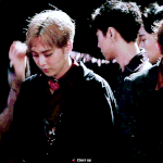 [EXO] 야 이거 멍냥 넘 <b>설레</b>