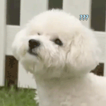 [EXO] 근데 여기 계속 있다보면