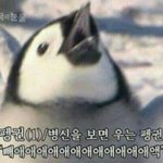 [댓글부탁해] 짝남 페북 상메