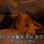 쌍수가 뭐가그렇게 아니꼬움?