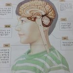 [댓글<b>부탁</b>해] 중2남 얼<b>평부탁</b>