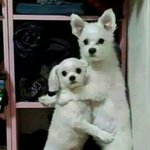 [드루와] 동성애 반대하는 쓰니야 이 글 봐줬으면 좋겠다