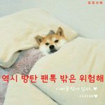 [방탄소년단] 이삐들 저기가서 댓<b>적지</b>마