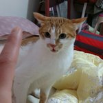 나의 동거남 <b>도칠</b>이 새해인사