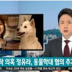 [강아지] 동물 학대도 한 <b>정유</b>라