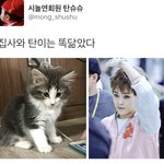 [시우민] 시우민 너무 똑닮았다
