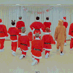 [세븐틴] 캐럿들 꼭 들어와서 의견 얘기해줘