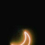 [ㅇㄱㄹㅇ] 왕따였던 애들 특징