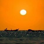 2017 년을 위해 당신에게 무엇이 준비되어 있는지 궁금하십니까...