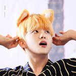 [BAP] 영재 댓마잼때 오렌지 머리
