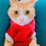 [EXO] 우리 은상이 <b>새옷</b> 입음