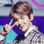 [EXO] 진짜백현이 연옌 안 했으면 블<b>베스타</b>나 비1제이 됐을것같음
