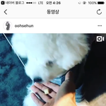 [EXO] 아아아악오세훈아아ㅏ아ㅜㅗ노아아아아규ㅠㅠㅠㅠ아아악