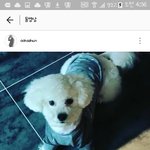 [EXO] ㅋㅋㅋㅋㅋ비비 <b>팔</b> 여기만 <b>털</b>안깎고