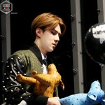 [EXO] 새호니 앰씌앰할때 받은 <b>인형들</b>임ㅋㅋㅋ