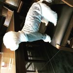 [EXO] 비비는 <b>식탁</b> <b>위</b> 소세지를 바라보는거였어