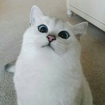 오늘 넘 조금 먹었다
