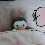 [EXO] 경수야  잘잤어? 홀롤<b>룰</b>뤃 깍꿍!