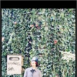 [댓글부탁해] 오빠미 <b>낭낭한</b> 소나무 뉴썬 스타일 모음