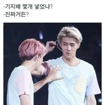 [EXO] 난 ㅈㄴ 개그짤이 취향임