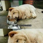 <b>본인</b> <b>생일</b>인데 왜 <b>생일</b>선물 안주냐고 따지는 친구 어떡해야함?
