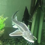 대출상<b>담사</b>의 실수