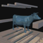 실제 소 <b>도축</b> 장면.gif