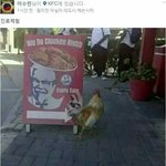 아니 ㅅㅂ어그로 작작끌어