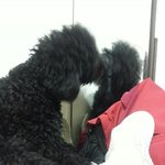 [EXO] 거울보는 <b>연탄</b>이 귀엽지?^^^