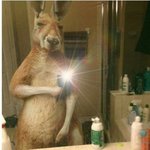 [10대의성] 약19인가)남자들 <b>똥쌀때</b>