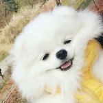 [드루와] 너의 이름은 보고 왔는데