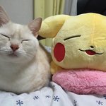 에뛰드 <b>별빛</b>이먼지 섀도우알아?