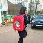 [드루와] <b>우주</b>여행하는 고양이
