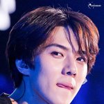 [EXO] 와진짜 국글에서 사진줍다가