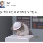 [시우민] <b>유쾌</b>한 트위터 시우민팬분들 드립력ㅋㅋ