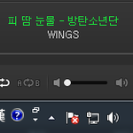 [방탄소년단] 이삐들 짐니 라이<b>직캠</b>