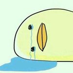 [EXO] ㅂㅣ지<b>니스</b>..비지니스..
