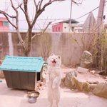 중3 <b>남자선배</b> 좋아하는데