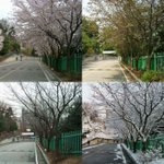 [댓글고고고] 예비 고<b>1</b>들 <b>1</b>지망이 어디얌