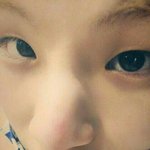 [세븐틴] 이보보...이뾰..