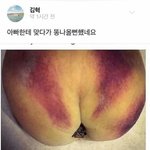 [운영] [네이트판 공지] 댓글 기능 <b>제정</b>