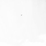 얘드라 <b>ASMR</b>